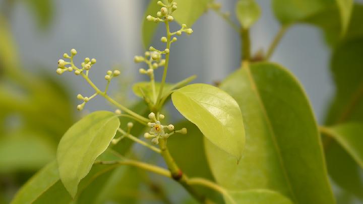 13岁男生规范体重